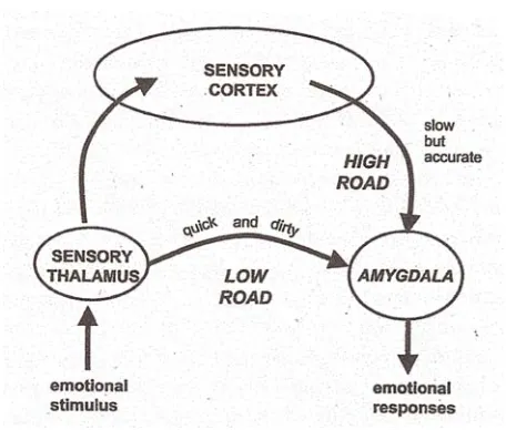 Figure 1: The “Low Road” SOURCE: LeDoux (2002) p. 123 