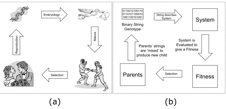 Figure 1.4: Evolution cycle between (a) biology and (b) electronics [1].