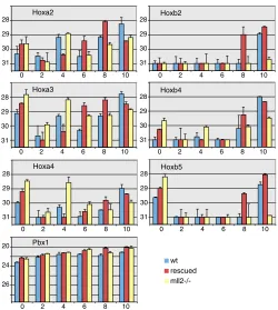 Fig. 9. Quantitative PCR analysis of Hox complex genes duringembryoid body differentiation.derivatives were differentiated in suspension in the absence of LIF orretinoic acid and harvested for RT-PCR analysis every second day
