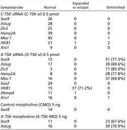 Table 1. Effects of X-TSK depletion on the expression ofvarious genes