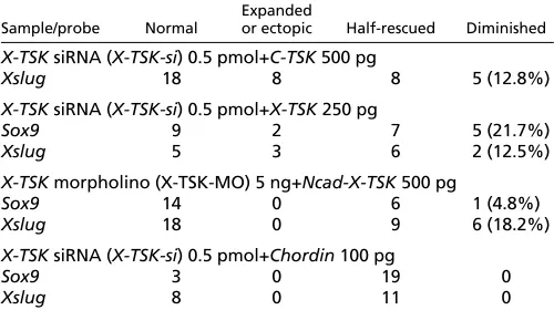 Table 2. Rescue experiments on the X-TSK-si/X-TSK MOphenotype