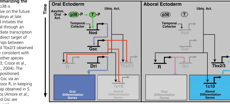 Fig. 9. Model summarizing the