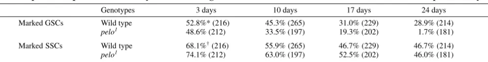 Table 2. pelo is required intrinsically for controlling the maintenance of GSCs but not SSCs in the Drosophila ovary