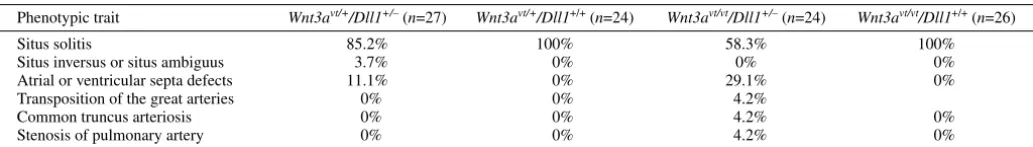 Table 1. Laterality defects in neonatal offspring from Wnt3avt/+/Dll1+/– � Wnt3avt/vt/Dll1+/+ cross   