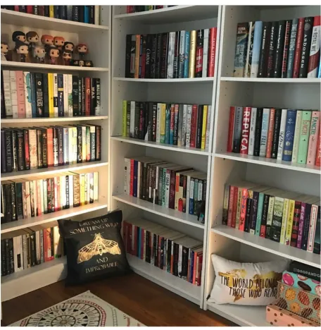 Figure 6. A post positively coded as a book focus shelfie. 