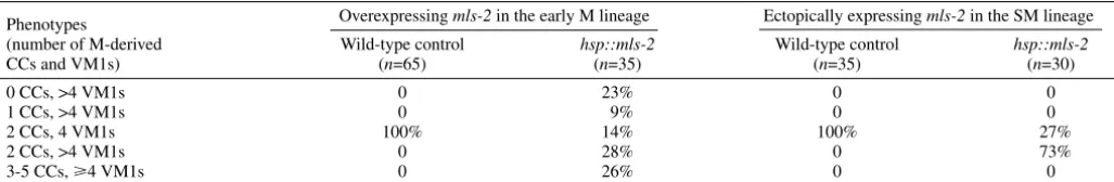 Table 2. Effect of forced expression of MLS-2 on the M lineage