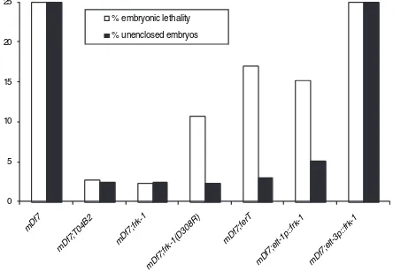 Fig. 4. Quantiﬁcation of rescue experiments with homozygous mDf7embryos. Percent embryonic lethality (empty bars) and enclosuredefective (ﬁlled bars) in progeny from mDf7 heterozygotes is shown.All mDf7 homozygous embryos (25% of the progeny for this fully