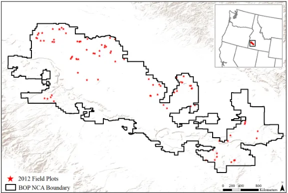 Figure 5. 2012 field plot locations within the NCA, (n=98).  