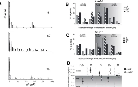 Fig. 5. Nuclear re-organisation of probes for Hoxb in the spinal cord. (A) The distribution of squared interphase distances (d2) in µm2 measured betweenHoxb1 and Hoxb9, in rhombomeres 5 (r5), spinal cord (SC), and tailbud (Tb) from E9.5 embryos