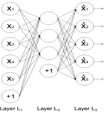 Figure 2.9: Simple architecture of an autoencoder with an input (Layer L1), onehidden (Layer L2) and an output layer (Layer L3)