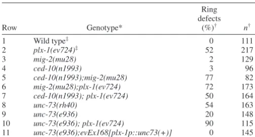 Table 2. Vulva ring defects in mig-2, ced-10 and unc-73mutants