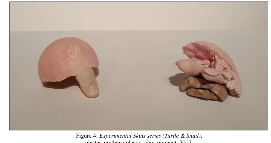 Figure 4: Experimental Skins series (Turtle & Snail),  plaster, urethane plastic, clay, pigment, 2017