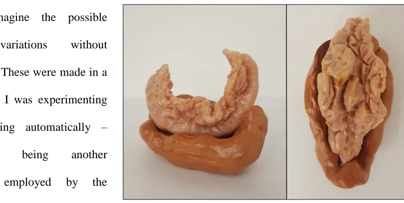 Figure 8 Grubs, polymer clay, air-dried clay, and shellac, 2018. 