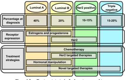 Figure 1.3. 