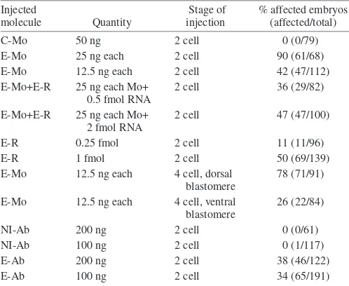 Table 1. Percentage of embryos affected by the injection ofmorpholinos or antibodies