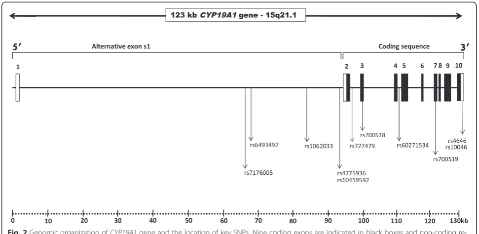 Fig. 3 Forest plot showing the association of SNP rs4646 with TTP