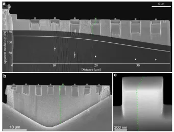 Figure 2.17   FIB lift-out with micro-compression pillars – reproduced from [32] 