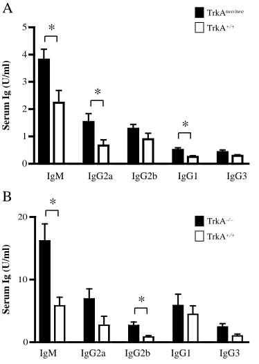 Fig. 5. Absence of TrkA does not impair T-cell-dependent memorynor T-cell-independent type I and II B responses
