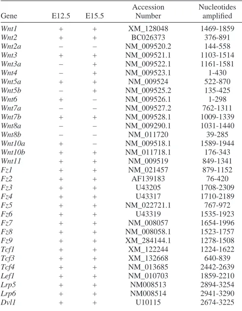 Table 1. Expression of WNT pathway genes in dissectedmammary buds at E12.5 and E15.5, assayed by RT-PCR