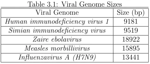 Table 3.1: Viral Genome Sizes