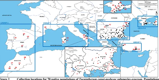 Figure 2  Collection locations for 70 native populations of Taeniatherum caput-medusae subspecies asperum