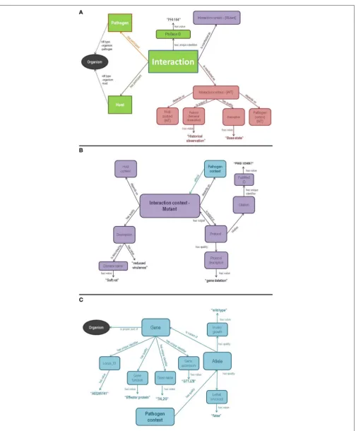 FIGURE 1 | An entity/relationship diagram showing a simpliﬁed model of the Semantic PHI base OWL ontology