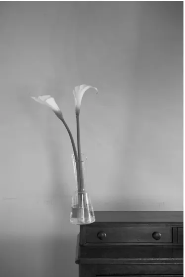 Fig. 15. Still Life, Spring, 2016 
