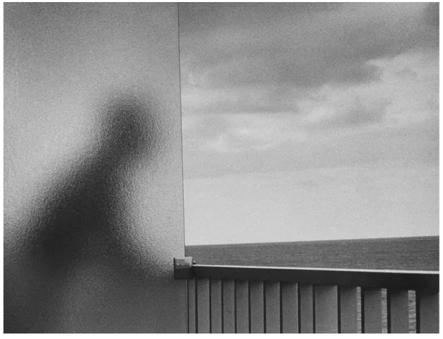 Fig. 3. Kertesz, Martinique, 1972 