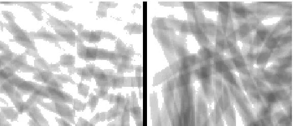 Figure 3.6: An example of the overexposure eﬀect on the left comparedwith a normal example on the left.