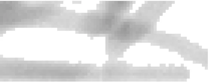 Figure 3.8: An example of the noise present in the real images.