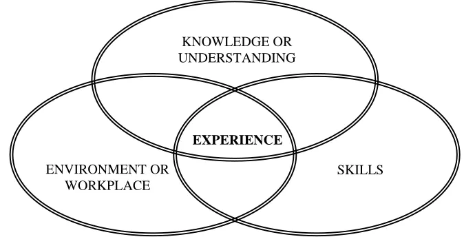 Figure 2.3: The Concept of Experience