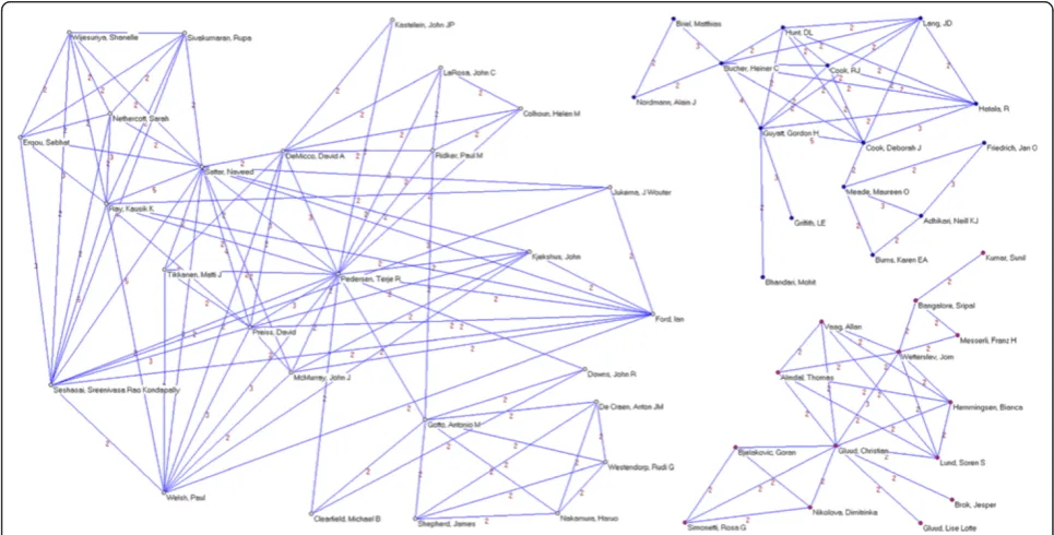 Figure 3 Co-authorship networks. Second most productive cluster of authors, applying a threshold of two or more papers signed in co-authorship.