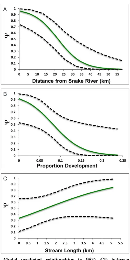 Figure 1.5.  Model  predicted  relationships  (±  95%  CI)  between  Barn  Owl  occupancy (Ψ) during the post-breeding season and (A) distance to the Snake River,  (B) proportion development, and (C) stream length