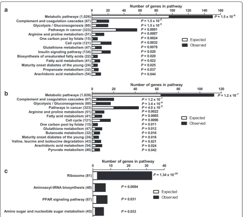 Figure 3 Gene set analysis of differentially expressed genes in human islets exposed to palmitate