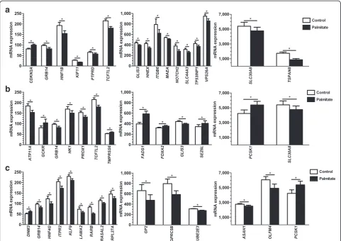 Figure 5 Impact of palmitate treatment on gene expression of candidate genes for T2D, related traits and obesity in human islets.levels