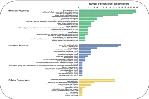 Figure 3. The top 20 biological, molecular and cellular functions of the 112 negative regulators of pathogen hypervirulence