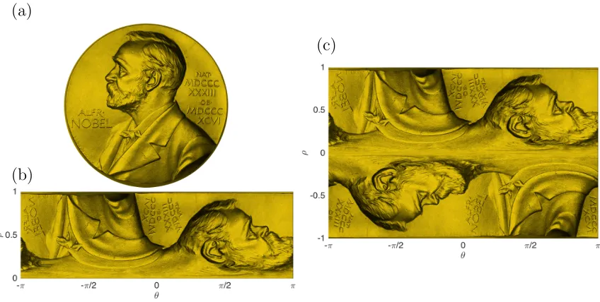 Figure 3.3:The disk analogue to the DFS method applied to the Nobel Prizemedal. (a) The medal
