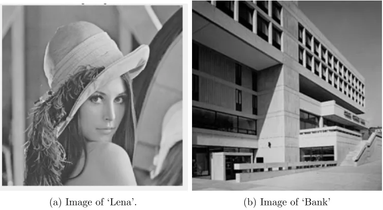 Figure 3.1: Real images used for testing the edge preservation capabilities and the ﬁne image detailpreservation capabilities of the ﬁlters.