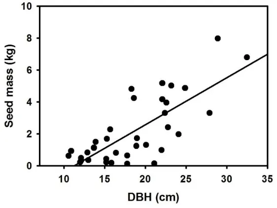 Figure 6:  Relationship between seed mass and DBH in Triadica sebifera (N = 35).   