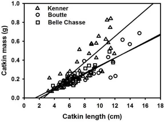 Figure 7: Relationship between catkin mass and length in Triadica sebifera at three sites (N = 101)