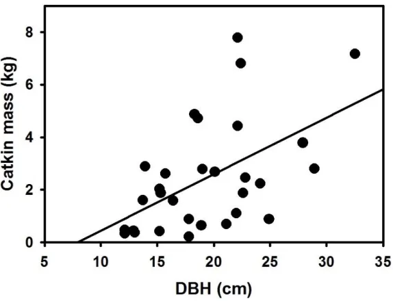 Figure 8: Relationship between catkin dry mass and DBH in Triadica sebifera (N = 30). 