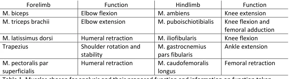 Table 1. Muscles chosen for analysis and their proposed function and information on function taken from  Herrel et al