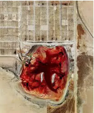 Fig. 16, Feedlots, Mishka Henner, 2013 