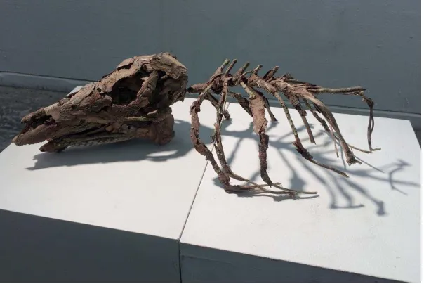 Figure 11: Zero, bark, twigs, and glue, 2016 