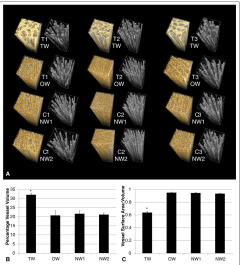 Figure 4 3D xylem architecture. A 3D render of each ROI (TW, OW or NW) from X-ray CT scans of RW induced trees (tipped T1, T2 and T3) orcontrols (C1, C2 and C3)