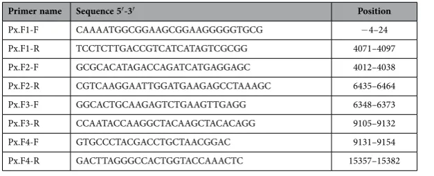 Table 1.  Degenerate primers.