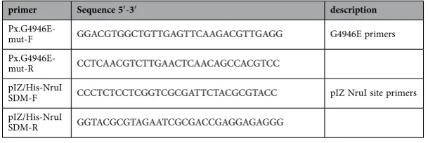 Table 4.  Mutagenesis primers.
