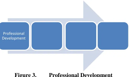 Figure 3. Professional Development 