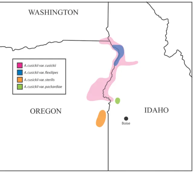 Fig. 2.  Map of the approximate ranges of the varieties of Astragalus cusickii, focused  on an area spanning the borders between the states of Idaho, Oregon, and  Washington, in the Pacific northwest region of the United States