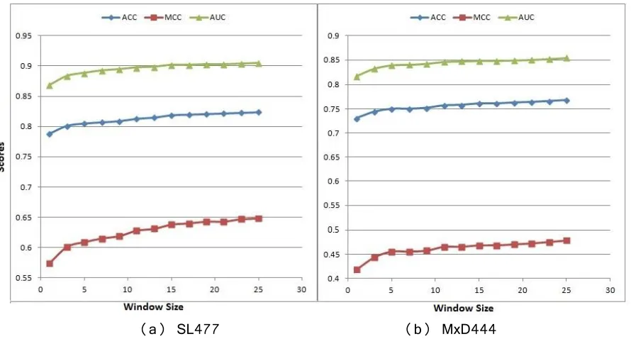 Fig 6. 10-fold cross-validation (default parameter) performance of DisPredict with different window sizes.Results are shown in terms of ACC, MCC and AUC scores on (a) SL477 and (b) MxD444 dataset